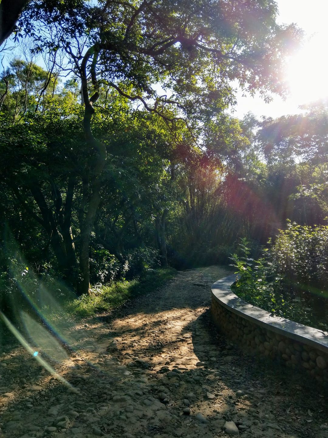 [卉君刮痧學堂] 問題層面